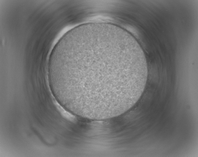 X0000078021478200611251517