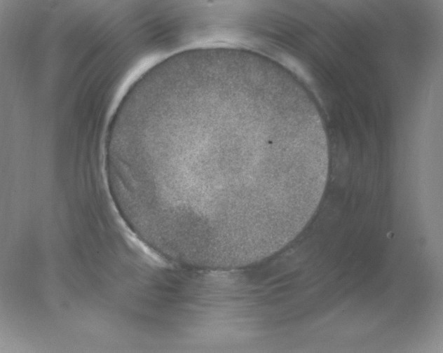 X0000078021480200611251517