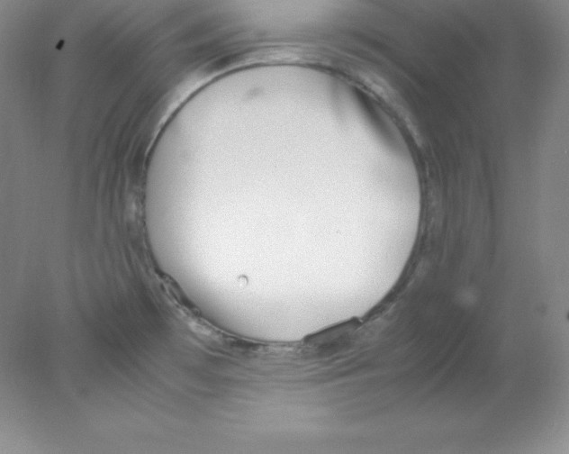 X0000078021481200611251517