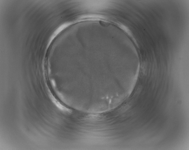 X0000078021482200611251517