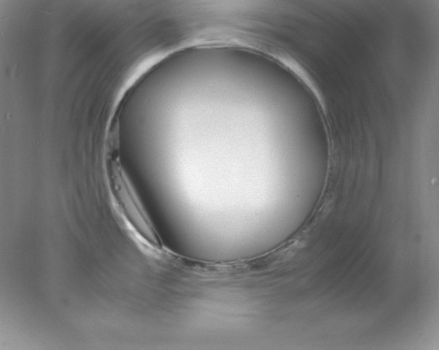 X0000078021485200611251517