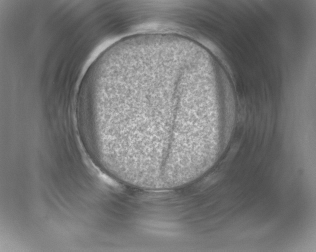 X0000078021486200611251517