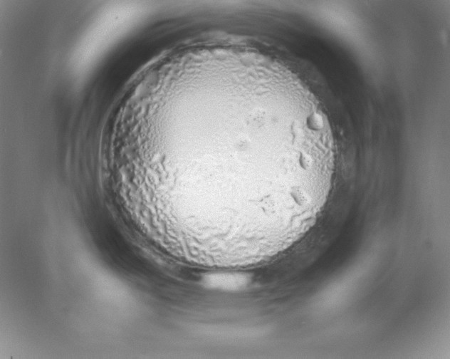 X0000078021487200611251517