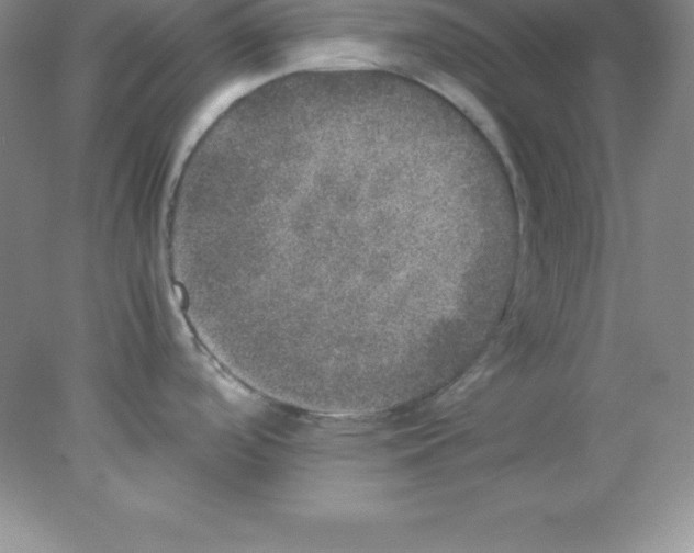 X0000078021488200611251517