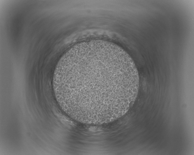 X0000078021489200611251516