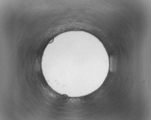 X0000078021491200611251516