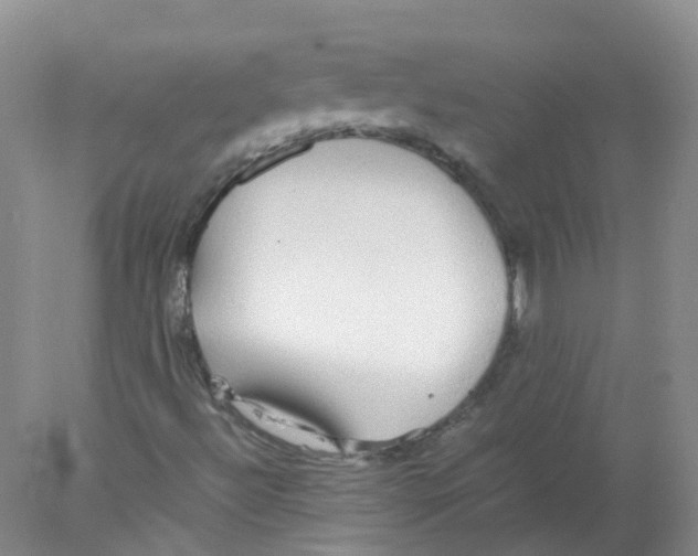 X0000078021492200611251516