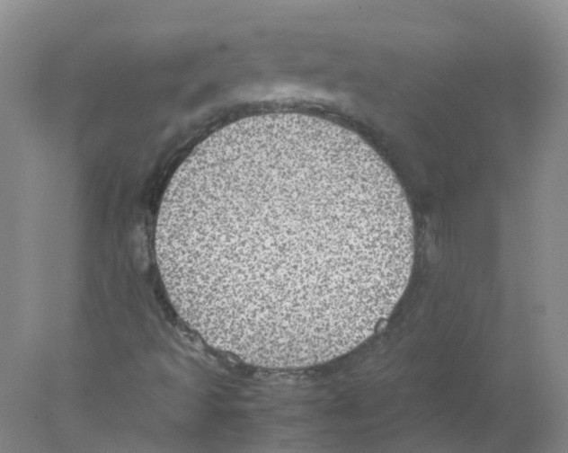 X0000078021493200611251516