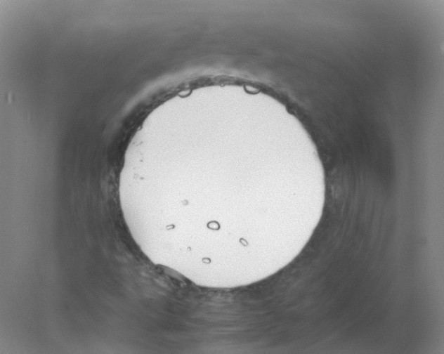 X0000078021495200611251516