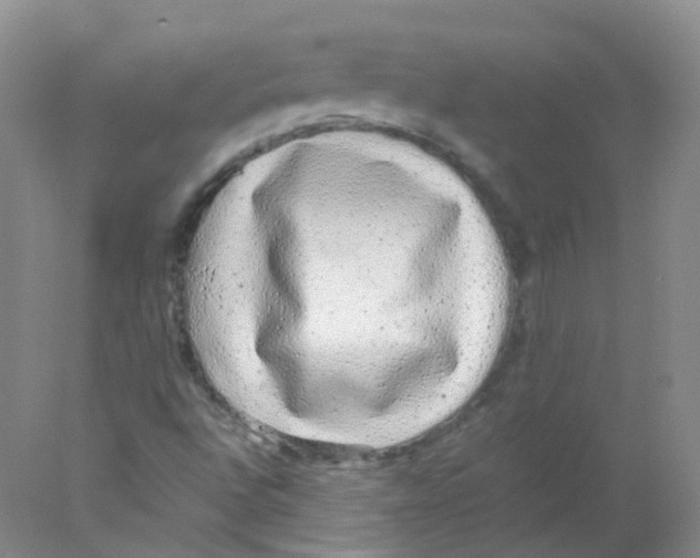 X0000078021496200611251516