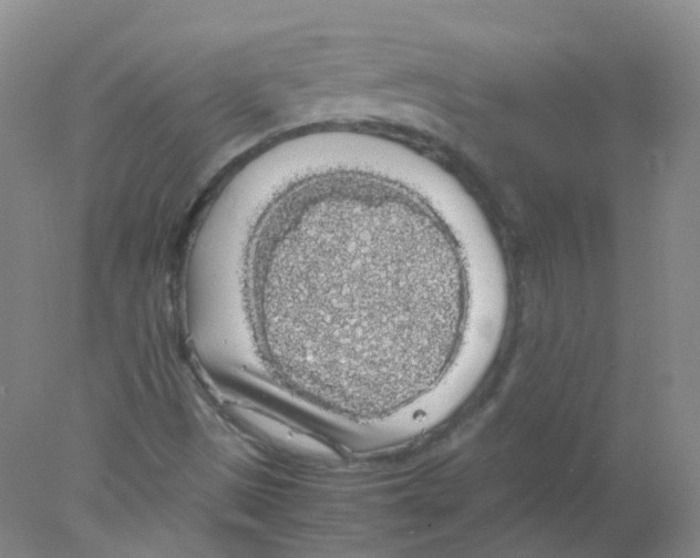 X0000078021497200611251516