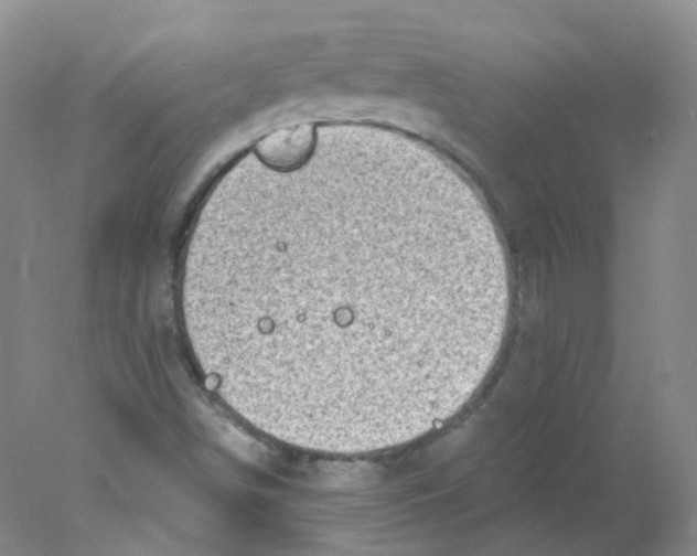 X0000078021498200611251516