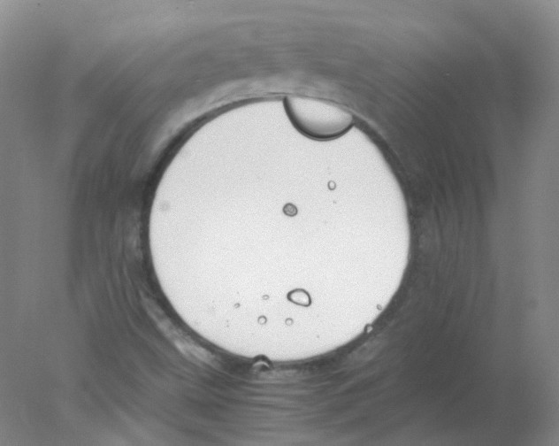 X0000078021499200611251516