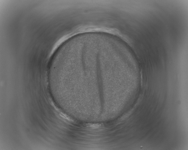 X0000078021501200611251516