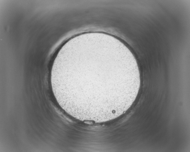 X0000078021502200611251516