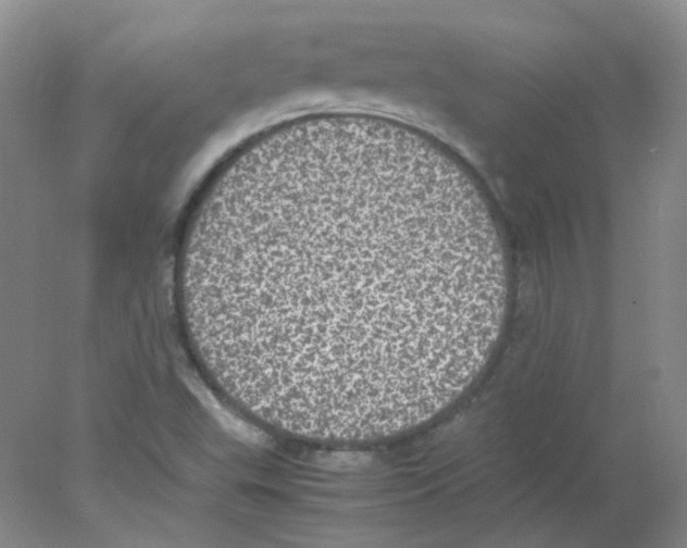 X0000078021503200611251516