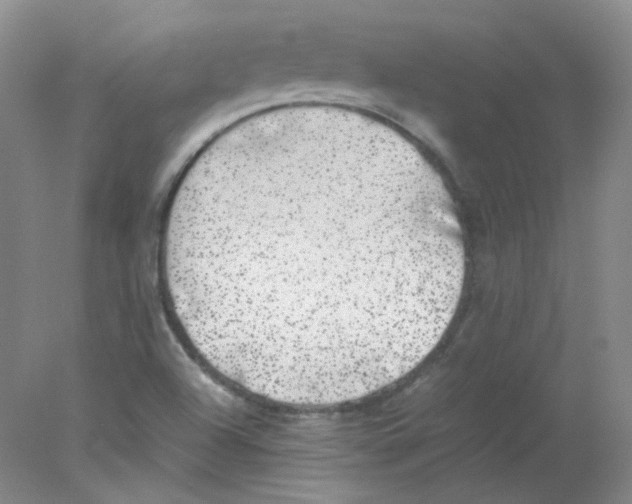 X0000078021504200611251516