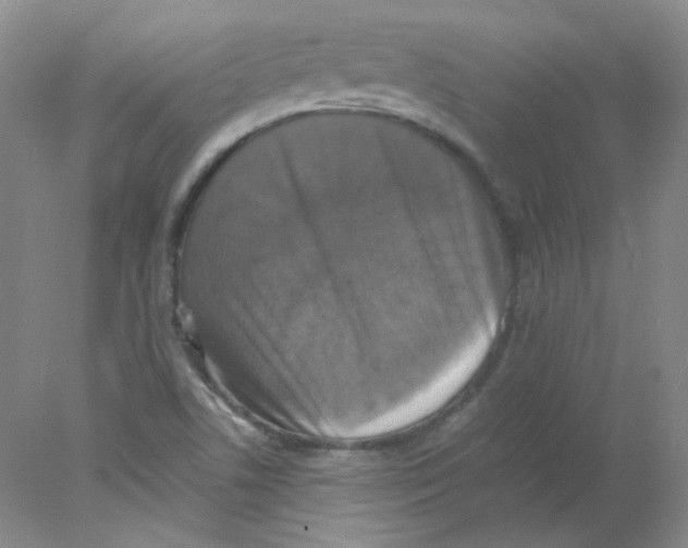 X0000078021506200611251516