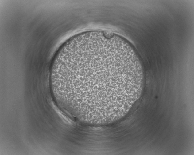 X0000078021507200611251516