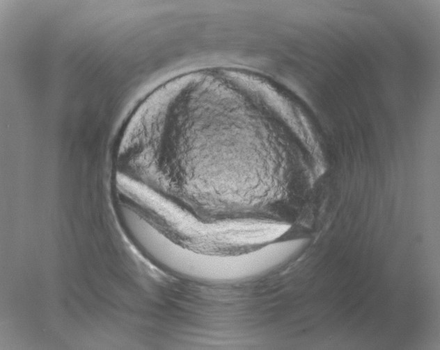 X0000078021508200611251516