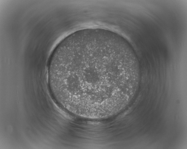 X0000078021509200611251516