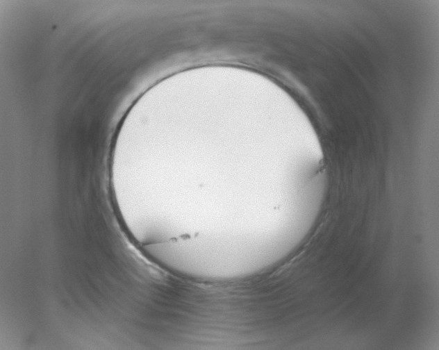 X0000078021512200611251516