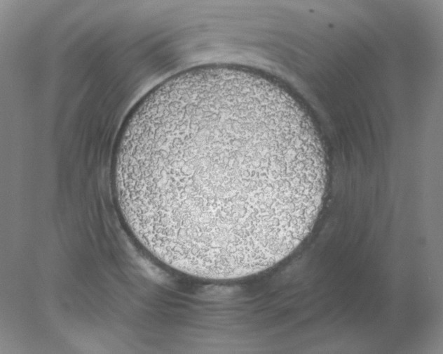 X0000078021513200611251516