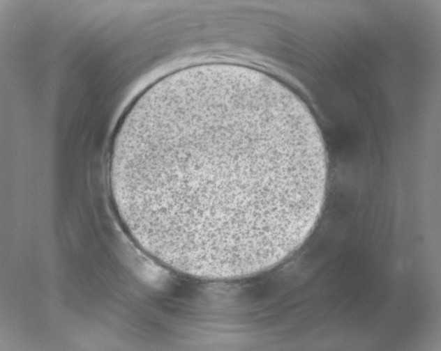 X0000078021514200611251516