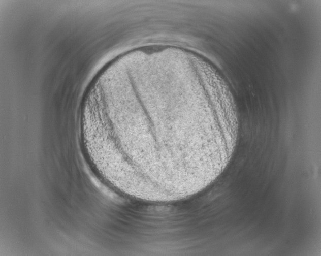 X0000078021515200611251516