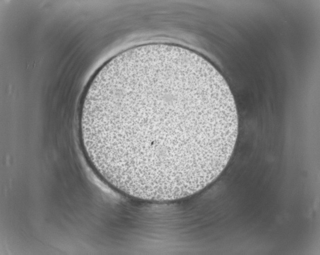 X0000078021518200611251516