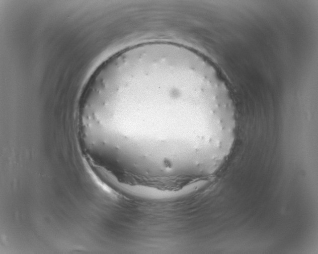 X0000078021519200611251516