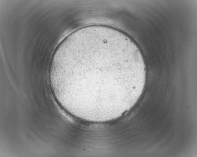 X0000078021521200611251516