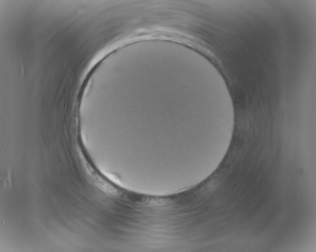 X0000078021522200611251516