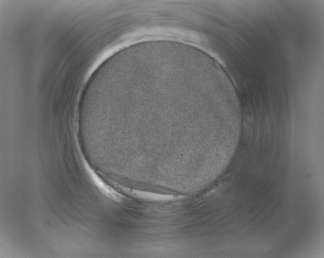 X0000078021523200611251516