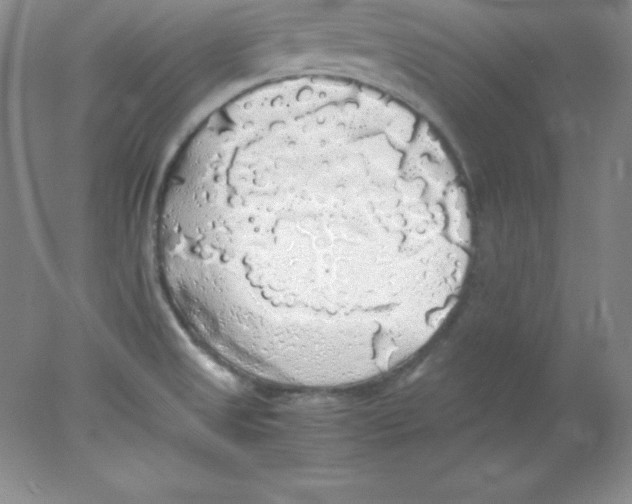 X0000078021525200611251516