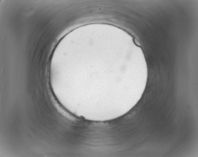 X0000078021526200611251516