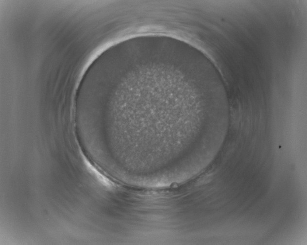 X0000078021527200611251516