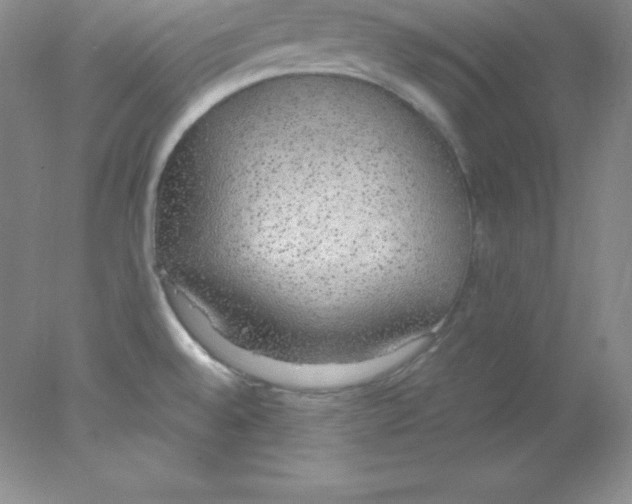 X0000078021528200611251516