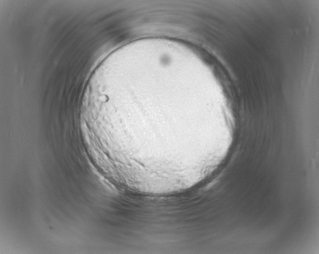 X0000078021529200611251516