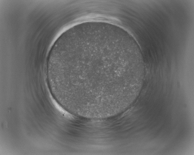 X0000078021531200611251516