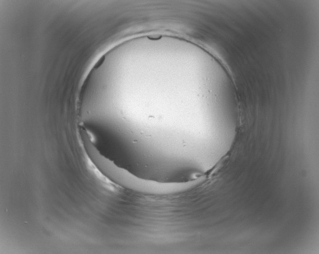 X0000078021532200611251516