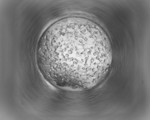 X0000078021533200611251516