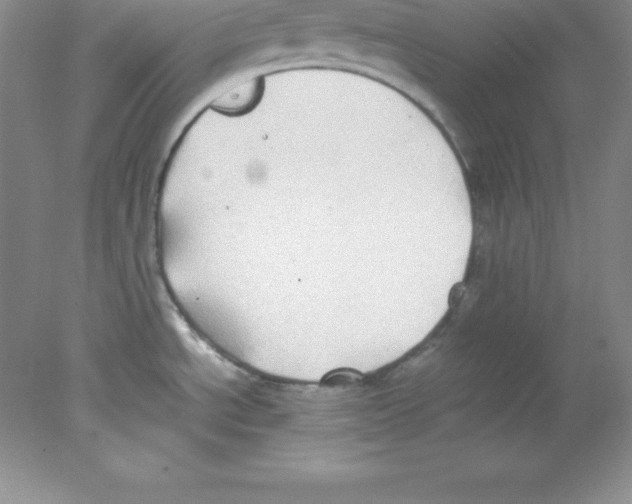 X0000078021534200611251516