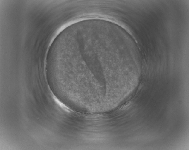 X0000078021535200611251517