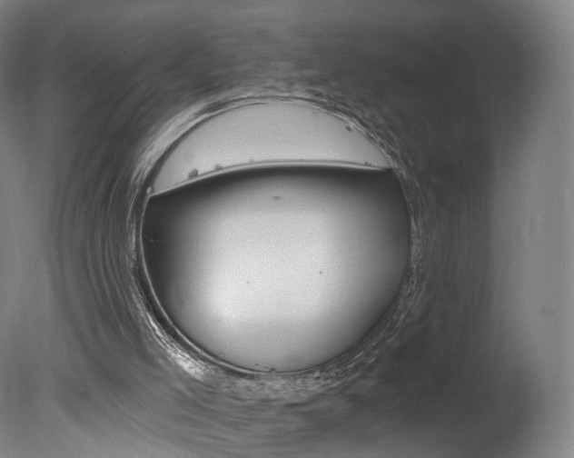 X0000078030005200610271054