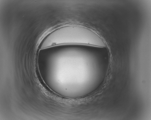 X0000078030007200610271054