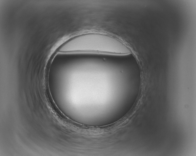 X0000078030008200610271054