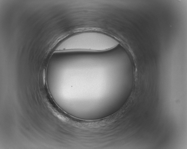 X0000078030013200610271054