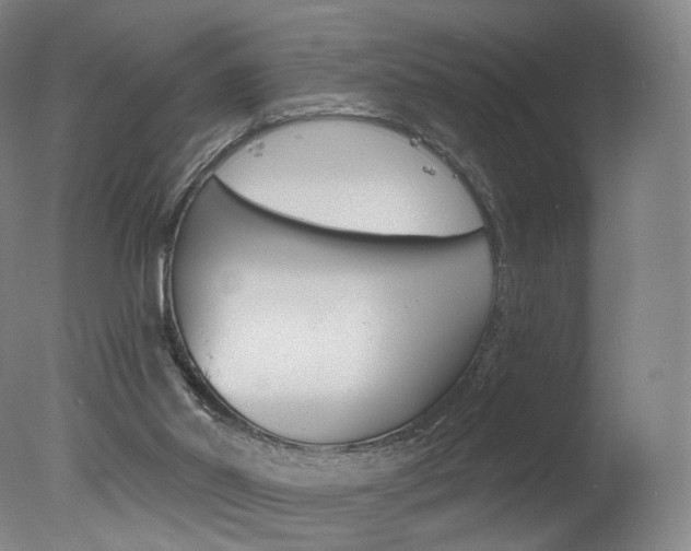 X0000078030014200610271054
