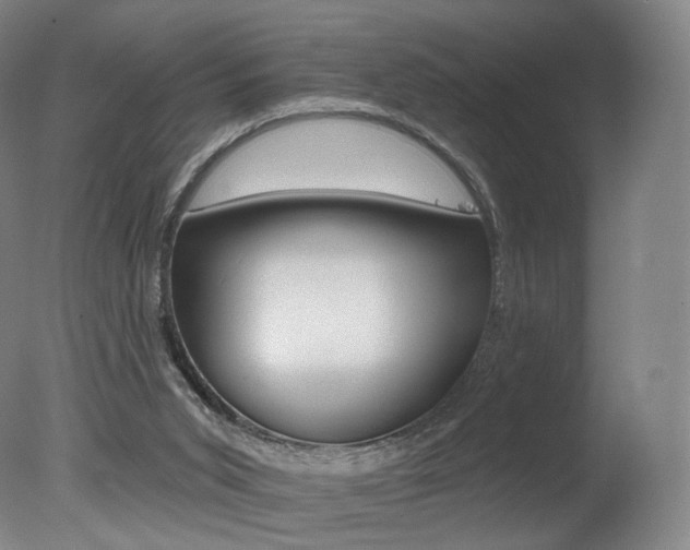 X0000078030015200610271054